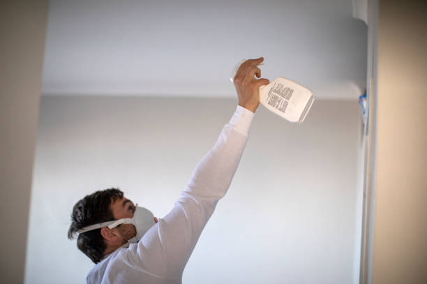 Best Commercial Mold Removal  in Fkville, AL