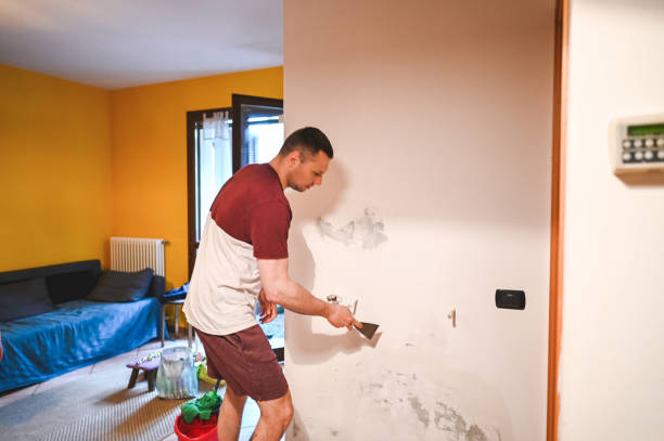 Best Black Mold Removal  in Fkville, AL